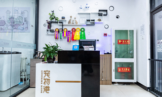 “新消費”元年，寵物店如何尋找求生之道