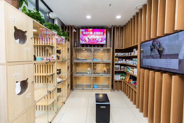 開一家寵物店費用是多少