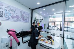 寵物店運營注意什么