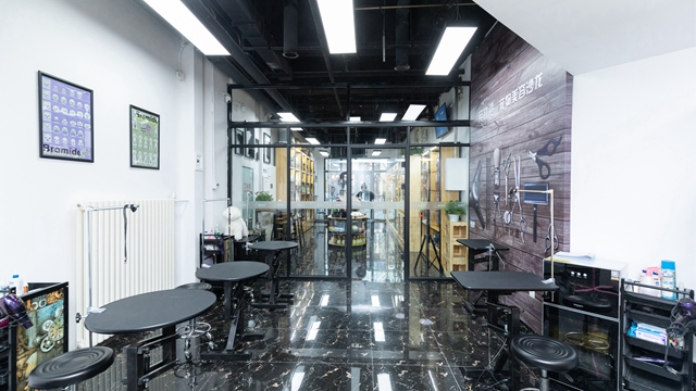 開寵物店需要學什么東西