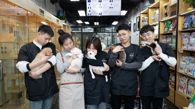 大學生開寵物店好不好