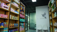 寵物店一般在哪里進貨呢