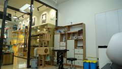 加盟寵物港，寵物店利潤怎么樣