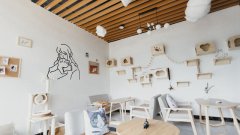 寵物加盟店如何經營能更好地提升業績