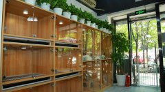 開寵物店需要做什么準備工作