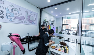 有什么辦法讓寵物店掙錢